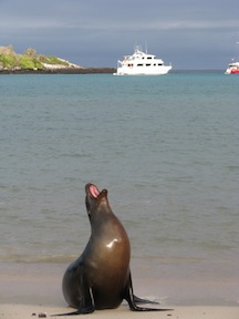 Cruise the galapagos aboard the aida maria