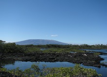 punta moreno islas galapagos