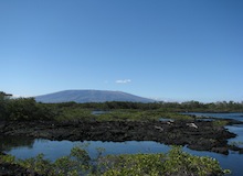 punta moreno galapagos islands