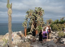 isla santa fe galapagos