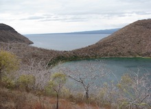 caleta tagus islas galapagos