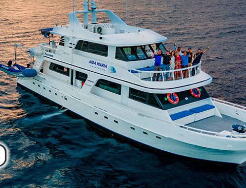 Yate Aida Maria Islas Galapagos – Clase Turista Superior