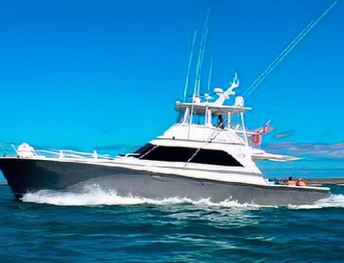 ALTAMAR day trips yacht – Galapagos Islands