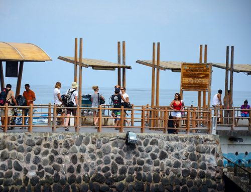 Aida Maria Departure Dates