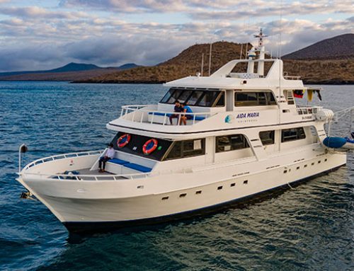 M/V Aida Maria – Galapagos Islands – Tourist Superior Class