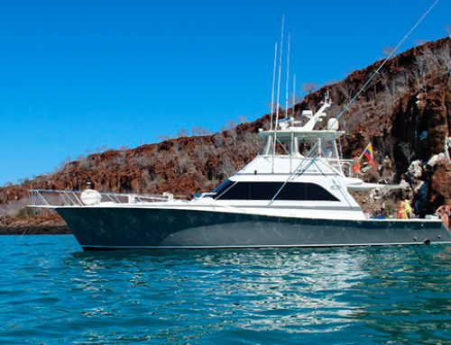 ALTAMAR day trips yacht – Galapagos Islands